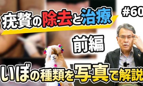 吸附片的功效与作用-吸附片的功效网- 吸附疗法适合哪些病知识,分享吸附药的作用是什么